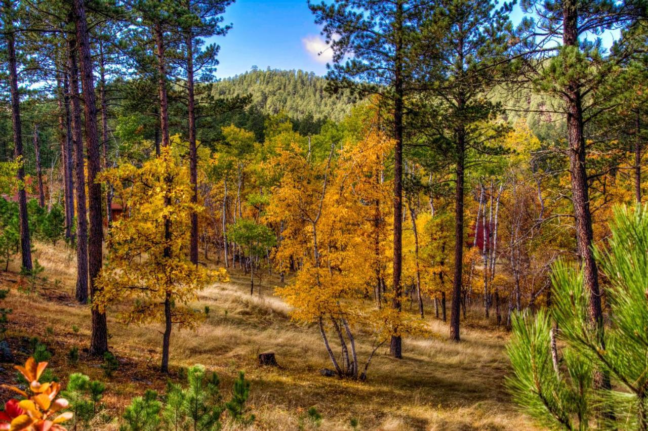 Yak Ridge Cabins And Farmstead By Mount Rushmore Villa Keystone Dış mekan fotoğraf